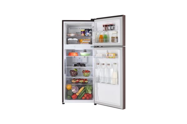 LG gl-t292rasn Double Door Refrigerator front open view