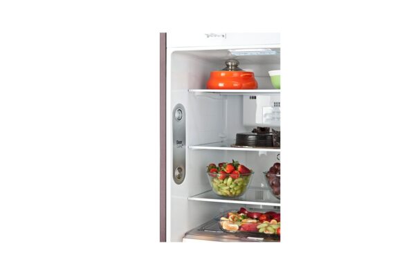 LG gl-t292rasn Double Door Refrigerator front open zoom view