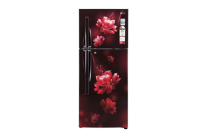 LG GL-S292RSCY Refrigerators-Front-View-DZ01