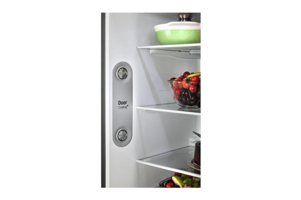 GL-T292RESX-Refrigerators-Detailed-View-2-DZ-04