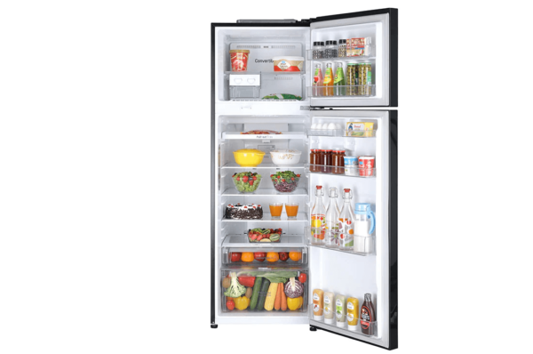 LG GL-T402JES3 Refrigerators Front-View-D-02