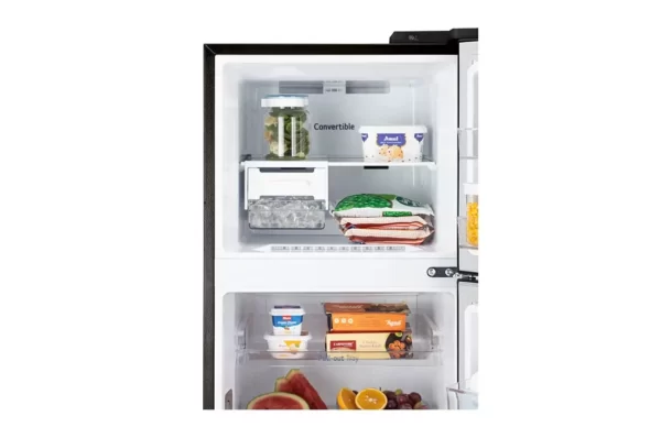 GL-T262TESX-Refrigerators-Detail