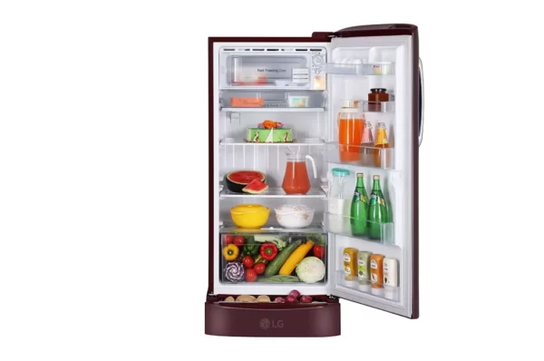 GL-D221ASEZ-Refrigerators-Front-View-With-Content-D-03