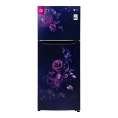 LG GL-N292BBEY 242 L 2 Star Double Door Refrigerator