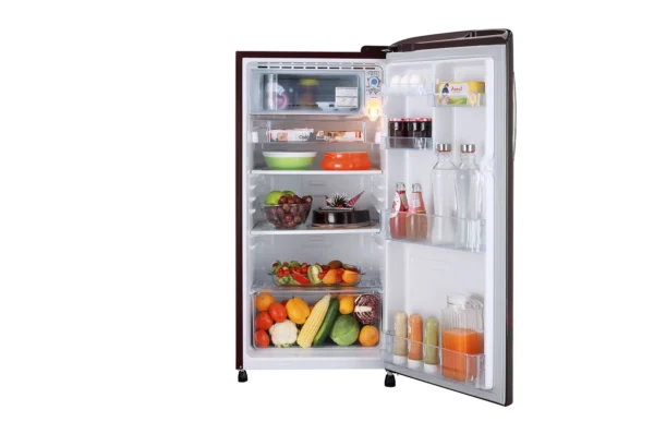 GL-B201ASED-Refrigerator-Front-Door-Open-View-DZ-02