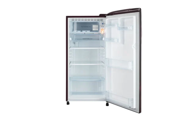 GL-B201ASED-Refrigerator-Front-Open-View-DZ-04