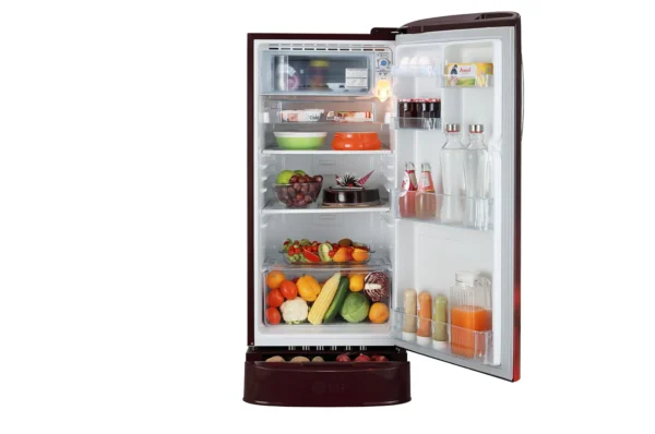 GL-D201ASCY-Refrigerators-Front-View-With-Content-DZ-02 (1)