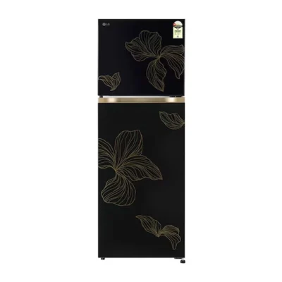 LG GLT2516WXRO 251L Double Door Refrigerator with Smart Mode, Auto Smart Connect, Smart Inverter Compressor, 1 Star